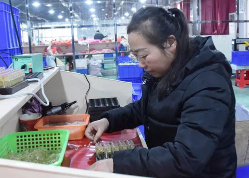 大龍企業 優質產品驅動訂單增長，培訓活動助力持續發展